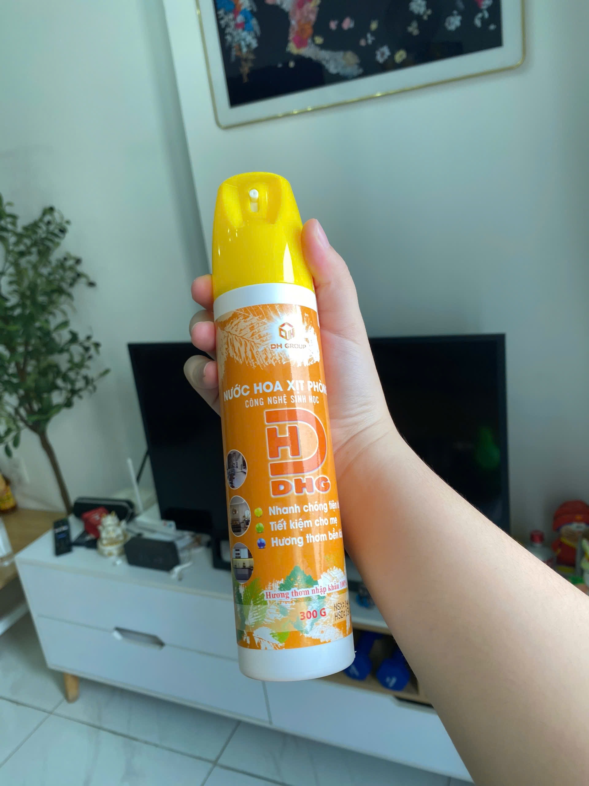 Hình ảnh